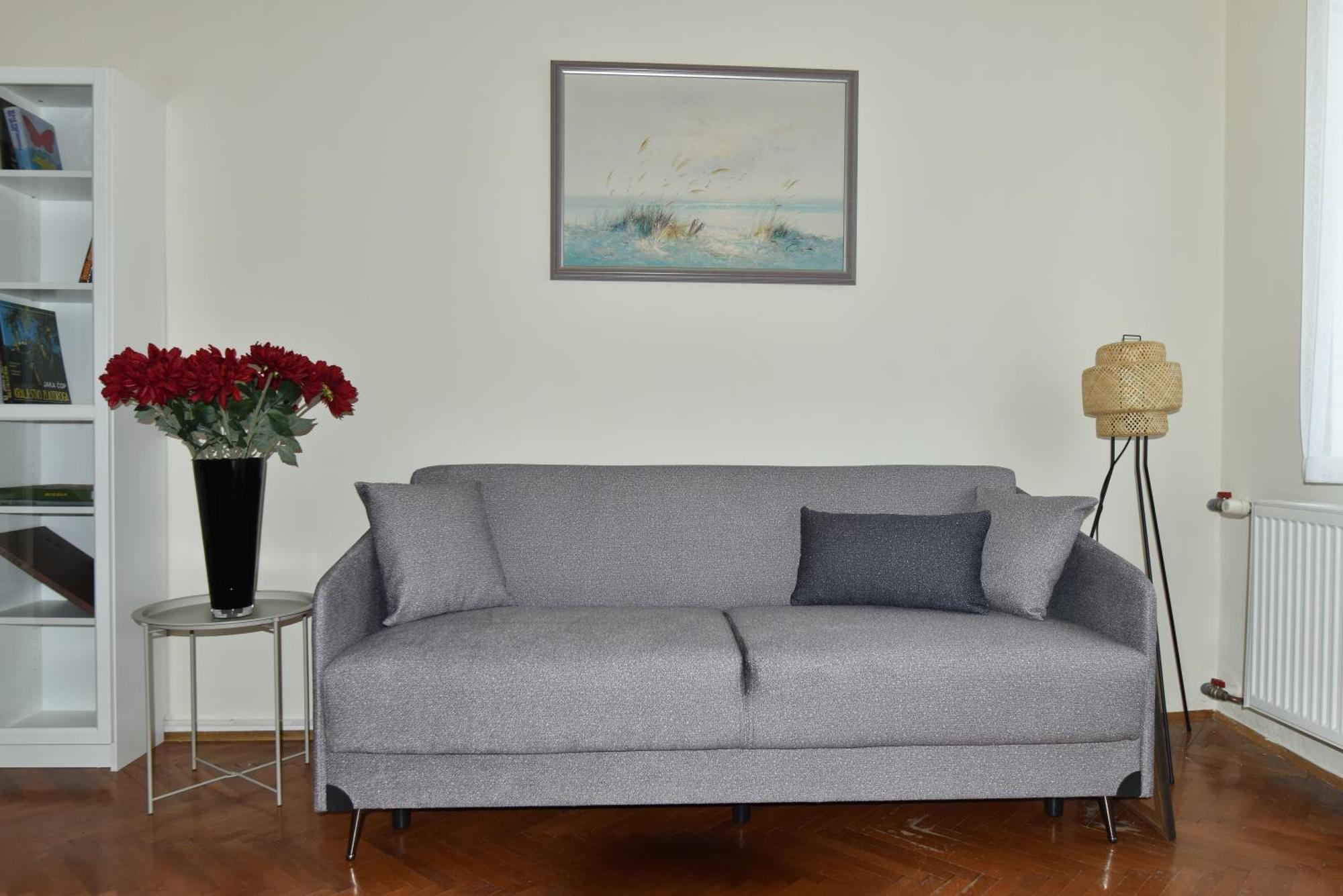 Apartment Joja *